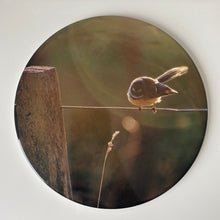 Load image into Gallery viewer, Ceramic Coaster Single - Bird On A Wire (Circular)