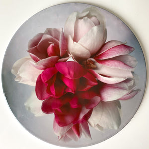 Ceramic Wall Art Tile 20cm - Magnolia Blooms 2 (circular)
