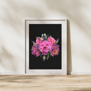Art Print - Magic in the Rhodo