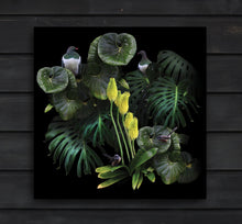 Load image into Gallery viewer, Onewhero Visitors